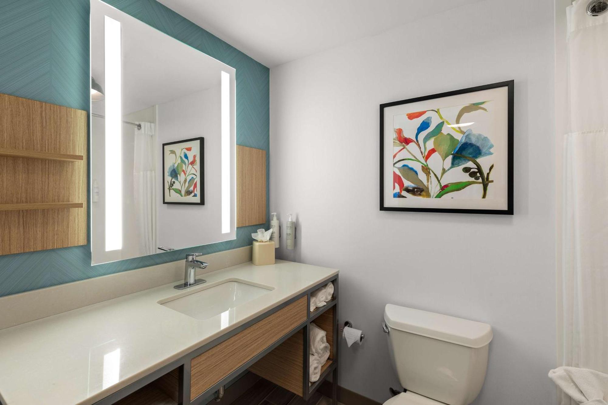 Hilton Garden Inn Atlanta East/Stonecrest Литония Экстерьер фото
